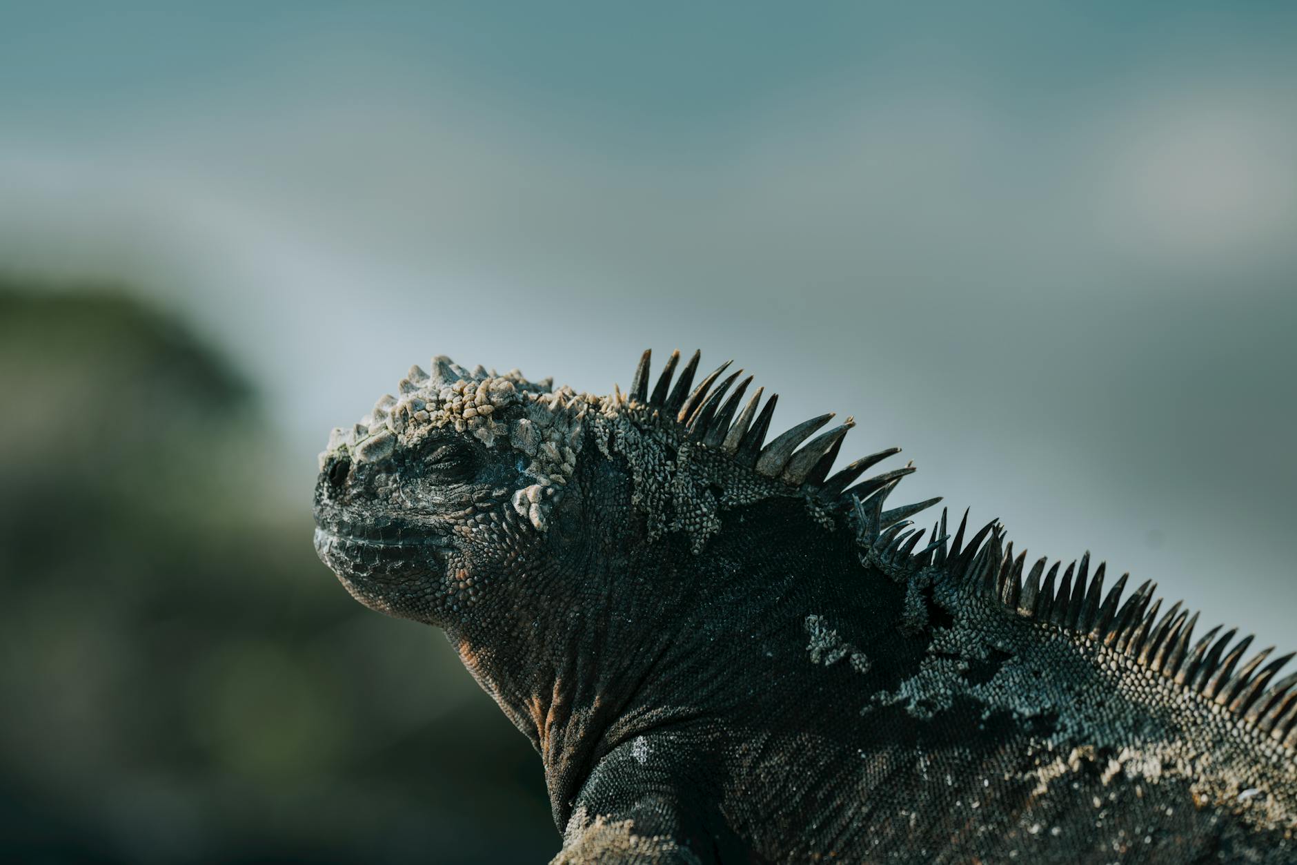 Как создавать видео с липсинком при помощи ИИ в 2026 году – Создание масштабируемого контента с липсинком, сгенерированного ИИ