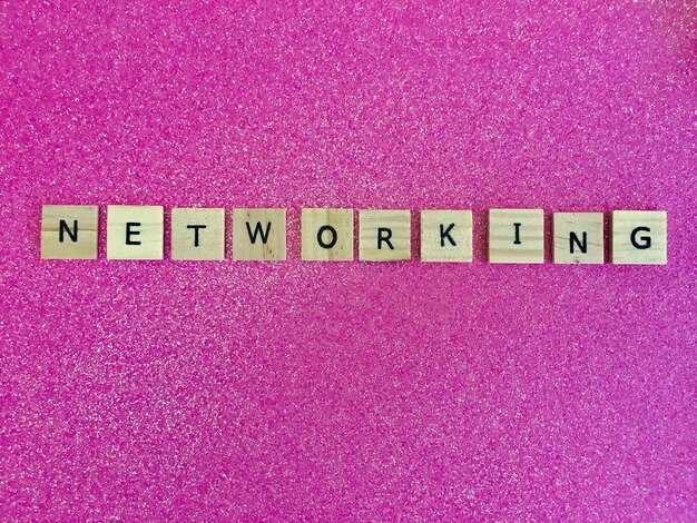 Export, Schedule, and Performance Tracking Across All Networks